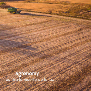 A久久96视频免费
