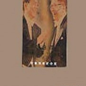 A久久96视频免费
