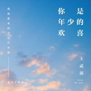 A久久96视频免费
