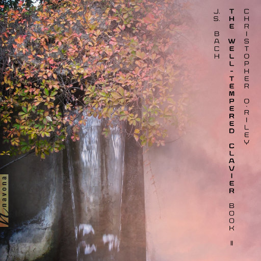 A久久96视频免费
